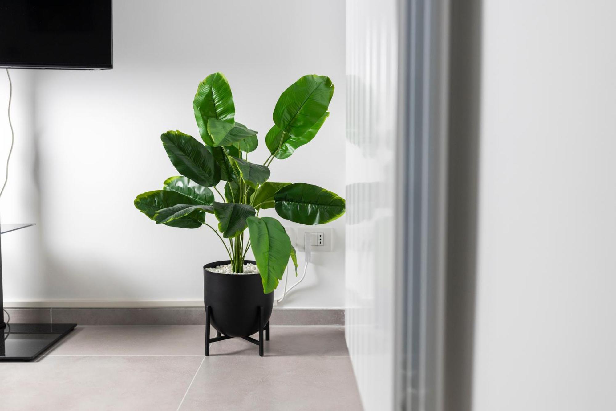 Apartment Novo In Salerno. Salerno